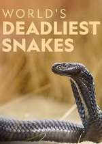 Watch World's Deadliest Snakes Niter