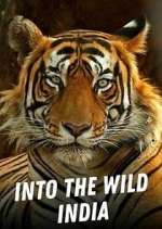 Watch Into the Wild India Niter