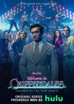 Watch Welcome to Chippendales Niter