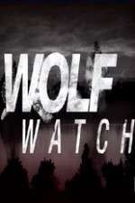 Watch Wolf Watch Niter