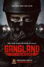 Watch Gangland Undercover Niter