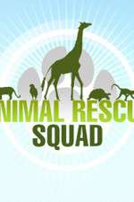 animal rescue squad tv poster
