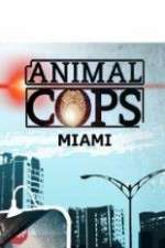 Watch Animal Cops Miami Niter