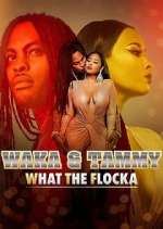 Watch Waka & Tammy: What the Flocka Niter