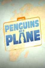 Watch Penguins on a Plane Niter