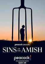 Watch Sins of the Amish Niter