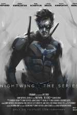 Watch Nightwing: The Series Niter