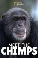 Watch Meet the Chimps Niter