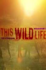 Watch This Wild Life Niter