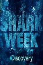 shark week tv poster
