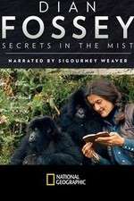 Watch Dian Fossey: Secrets in the Mist Niter