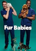 Watch Fur Babies Niter