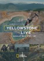 Watch Yellowstone Live Niter