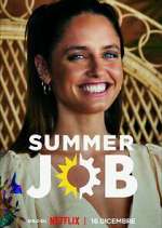 Watch Summer Job Niter