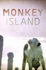 Watch Monkey Island Niter