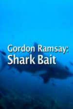 Watch Gordon Ramsay: Shark Bait Niter