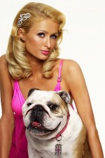 Watch Paris Hilton's British Best Friend Niter
