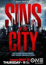Watch Sins of the City Niter
