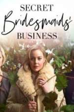 Watch Secret Bridesmaids\' Business Niter