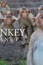 Watch Monkey Planet Niter