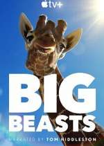 Watch Big Beasts Niter