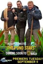 Watch Pond Stars Niter