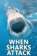 Watch When Sharks Attack Niter