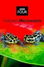 Watch Natures Microworlds Niter