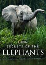 Watch Secrets of the Elephants Niter