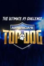 Watch America\'s Top Dog Niter