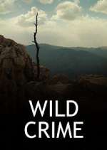 Watch Wild Crime Niter