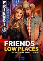 Watch Friends in Low Places Niter