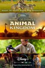Watch Magic of Disney\'s Animal Kingdom Niter