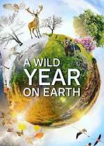 Watch A Wild Year on Earth Niter