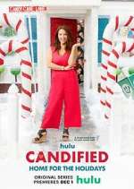 Watch Candified: Home for the Holidays Niter