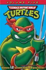 teenage mutant ninja turtles tv poster