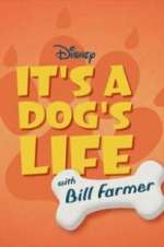 Watch It\'s a Dog\'s Life with Bill Farmer Niter