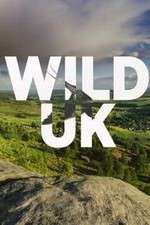 Watch Wild UK Niter