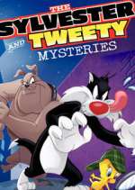 Watch The Sylvester & Tweety Mysteries Niter
