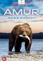 Watch Amur Asia's Amazon Niter