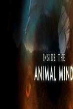 Watch Inside the Animal Mind Niter
