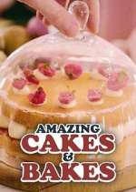 Watch Amazing Cakes & Bakes Niter