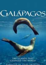 Watch Galapagos Niter