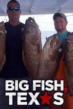 Watch Big Fish Texas Niter