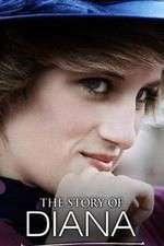 Watch The Story of Diana Niter