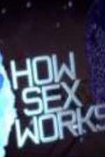 Watch How Sex Works Niter
