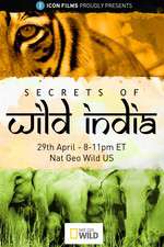 Watch Secrets of Wild India Niter