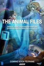 Watch The Animal Files Niter