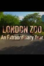 Watch London Zoo: An Extraordinary Year Niter