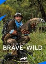 Watch Coyote Peterson: Brave the Wild Niter